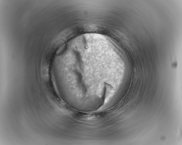 X0000093560267200711121021