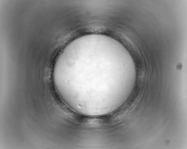 X0000093560268200711121021