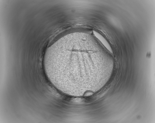 X0000093560269200711121021