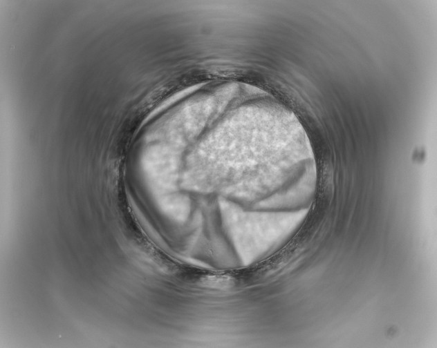 X0000093560271200711121021