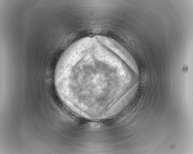 X0000093560272200711121021