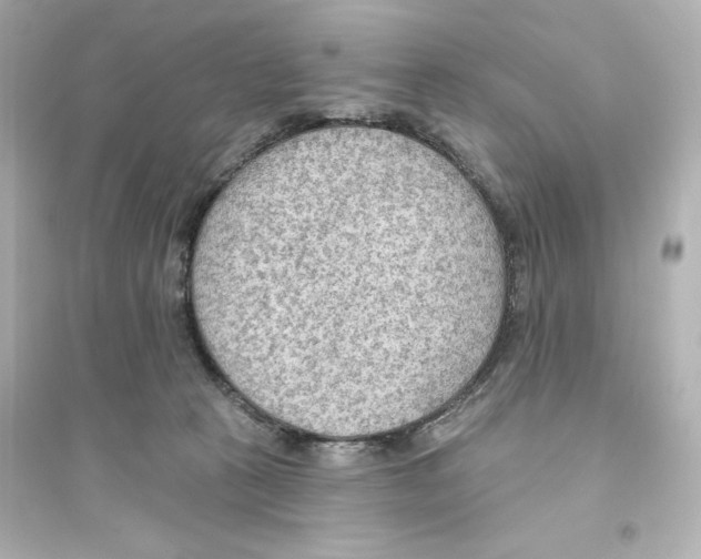 X0000093560273200711121021