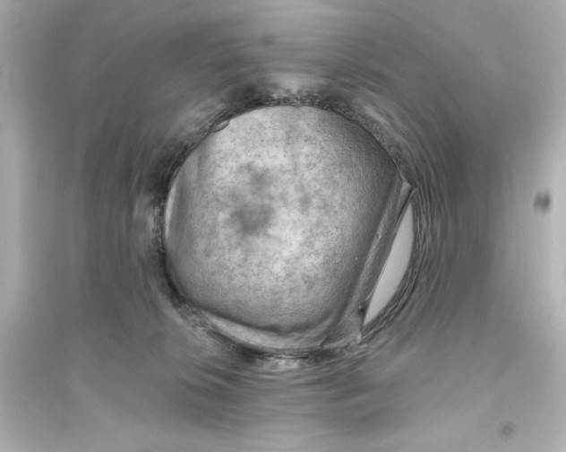 X0000093560276200711121021