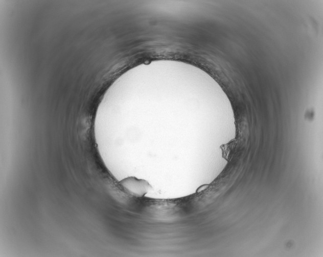 X0000093560278200711121021