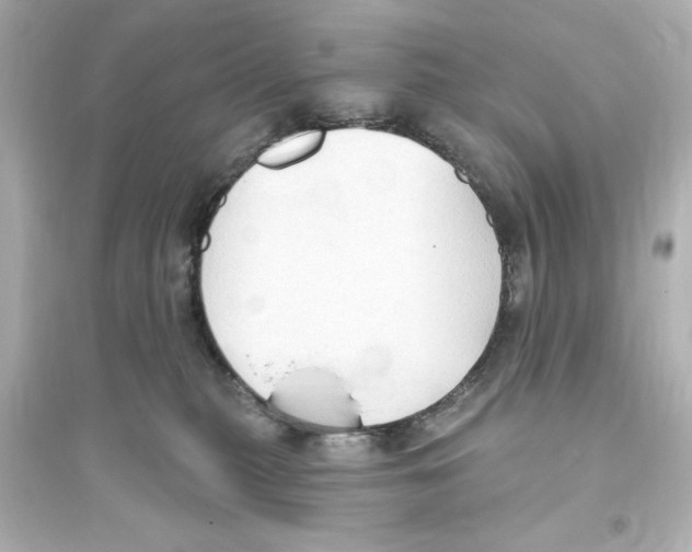 X0000093560279200711121021