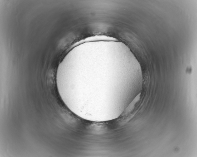 X0000093560280200711121021