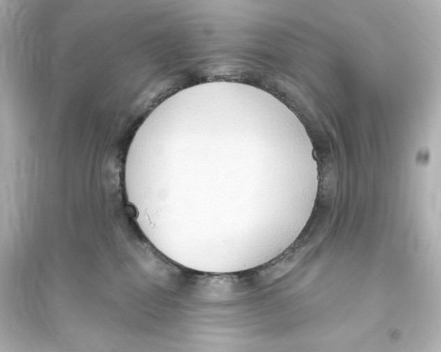 X0000093560282200711121021