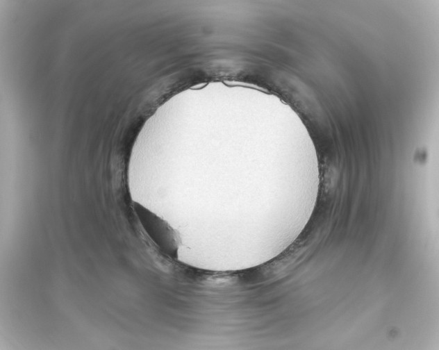 X0000093560283200711121021