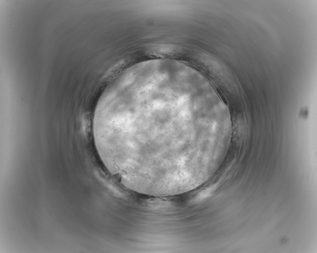 X0000093560284200711121021