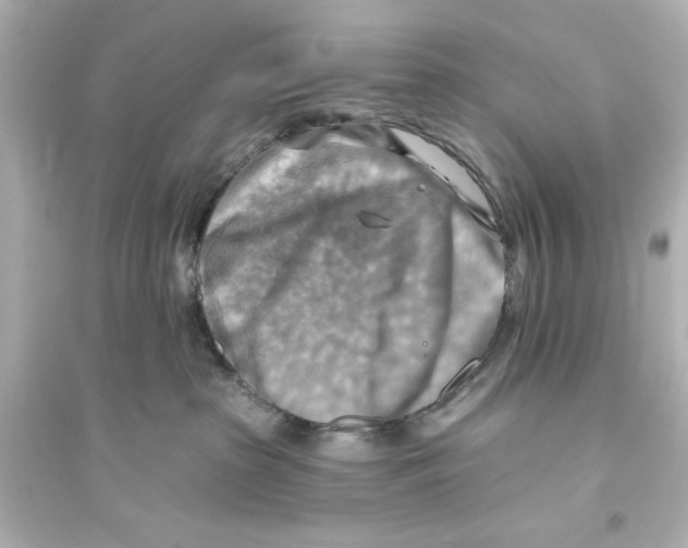 X0000093560285200711121021