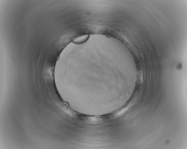 X0000093560286200711121021
