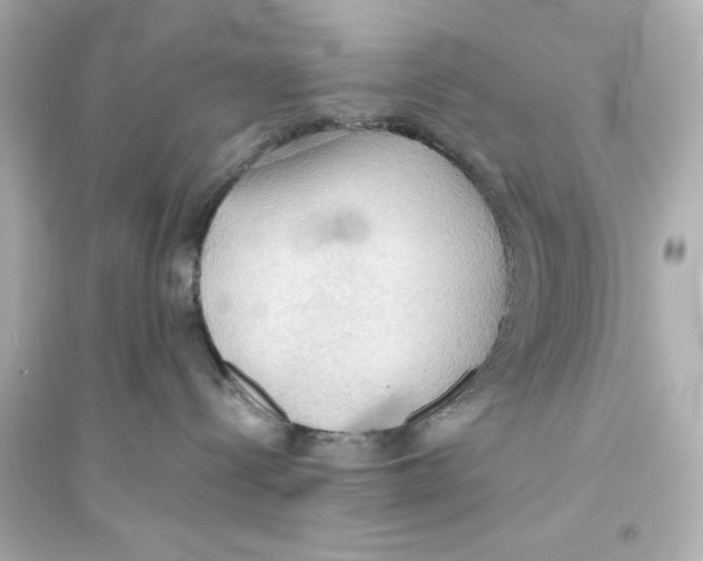 X0000093560288200711121021