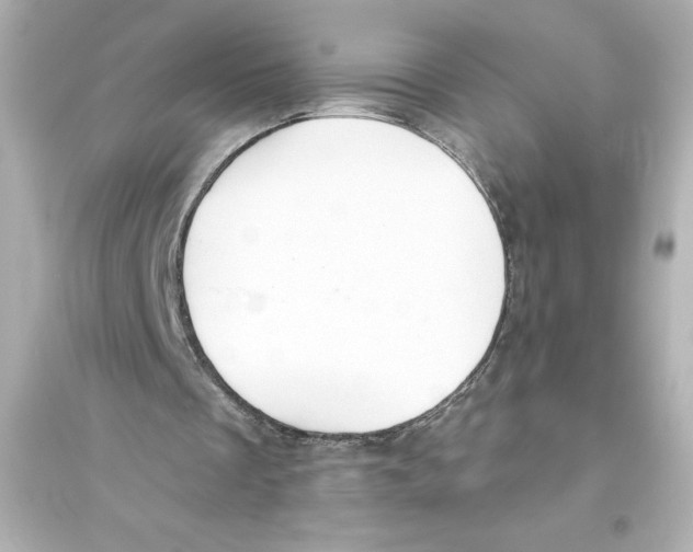 X0000093560289200711121020