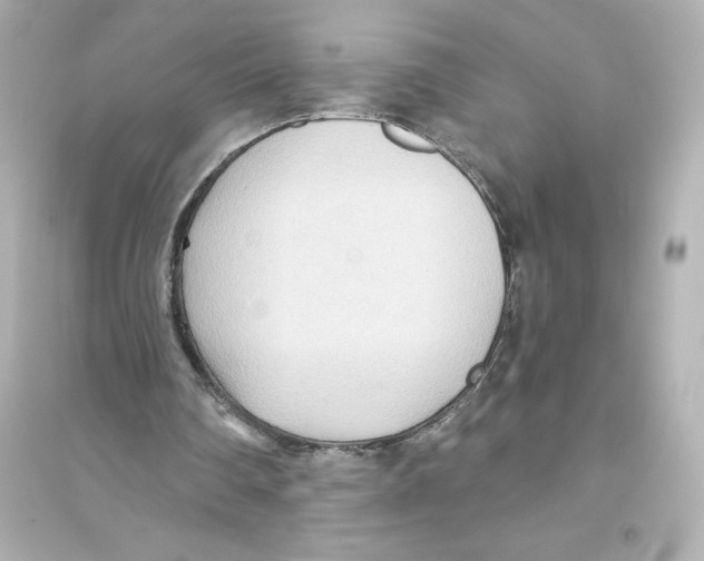 X0000093560290200711121020