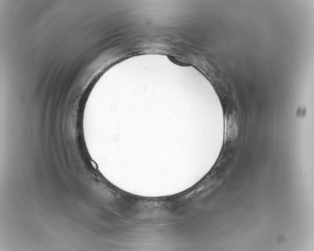 X0000093560291200711121020