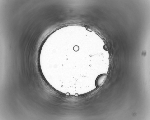 X0000093560293200711121020