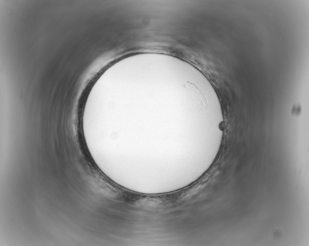 X0000093560294200711121020