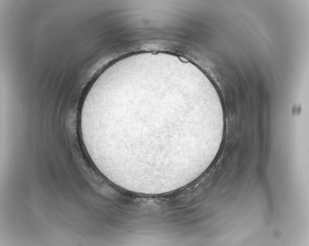 X0000093560297200711121020