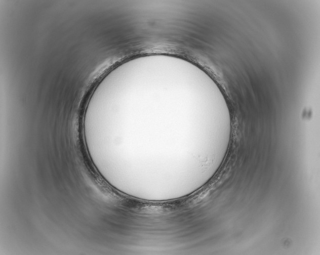 X0000093560298200711121020