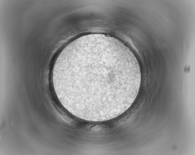 X0000093560299200711121020