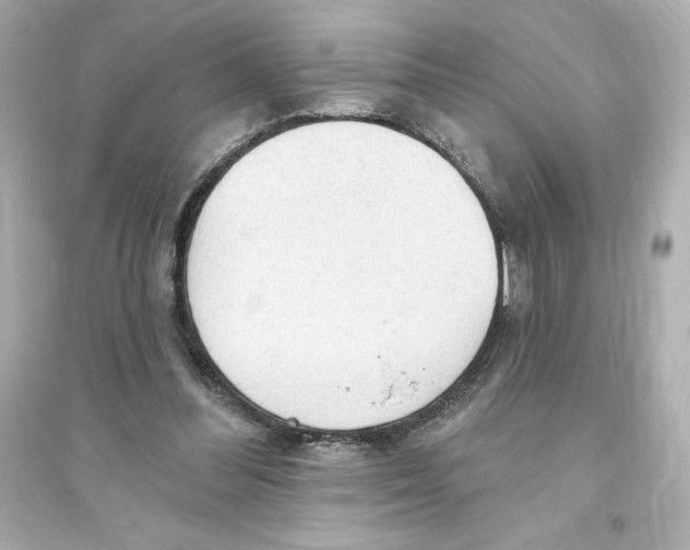 X0000093560300200711121020