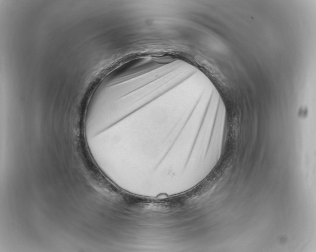 X0000093560303200711121020