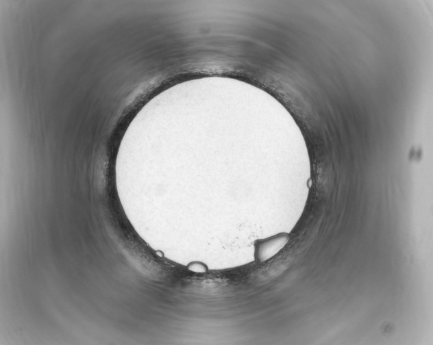 X0000093560304200711121020