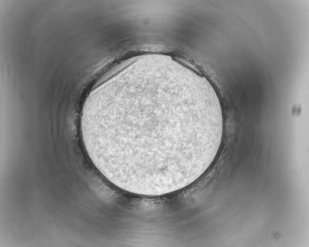 X0000093560305200711121020