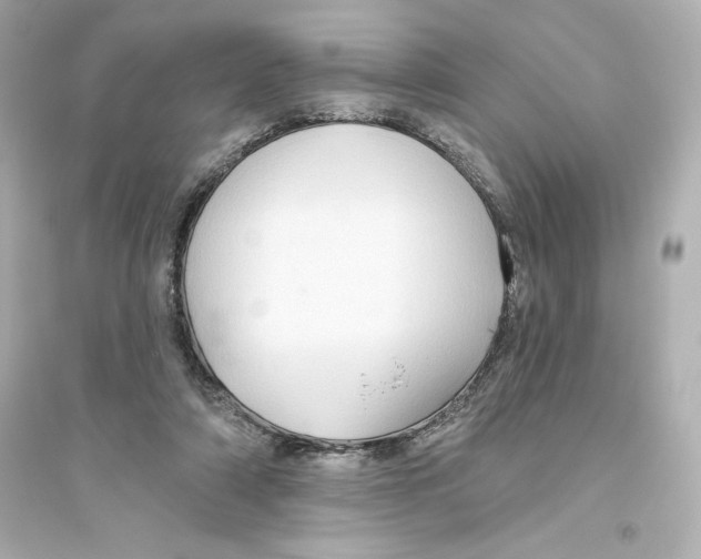 X0000093560306200711121020