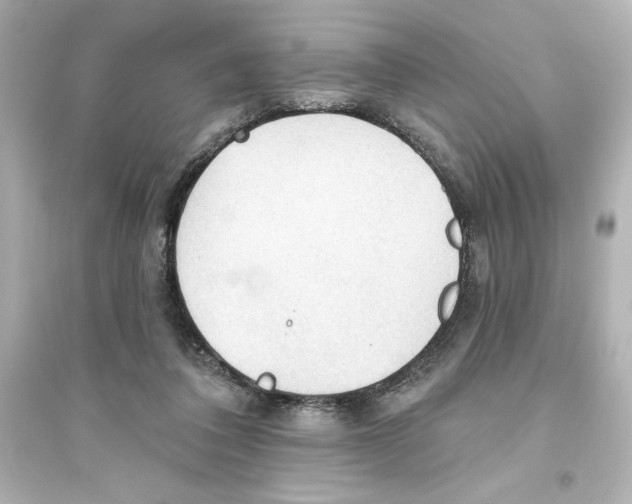 X0000093560308200711121020