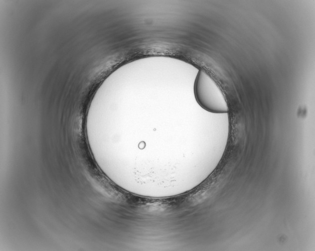 X0000093560310200711121020