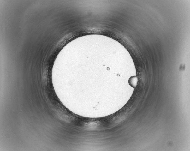 X0000093560312200711121020