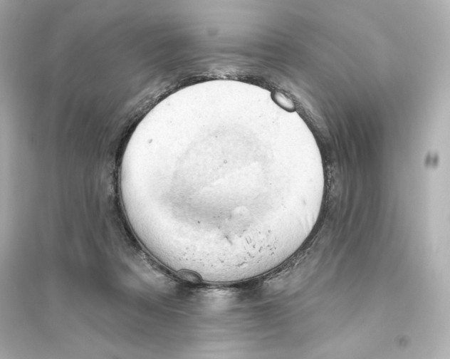 X0000093560313200711121020