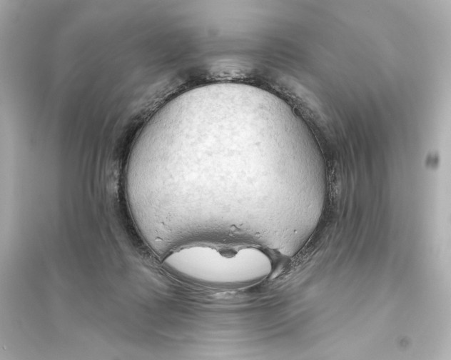 X0000093560315200711121020