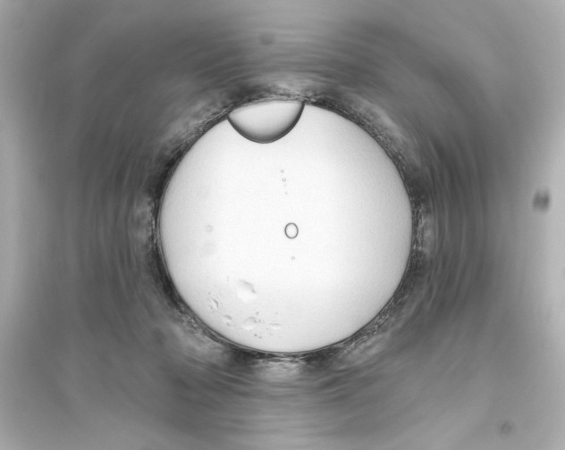 X0000093560318200711121020