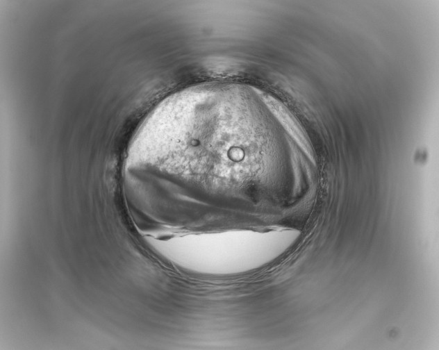 X0000093560319200711121020