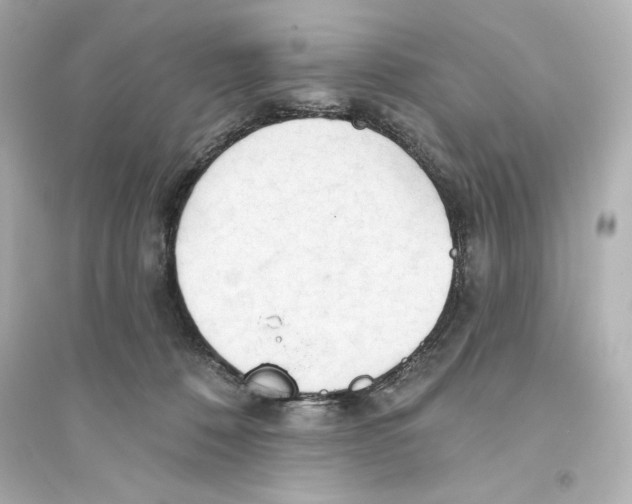 X0000093560320200711121020