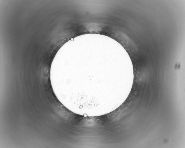 X0000093560321200711121020