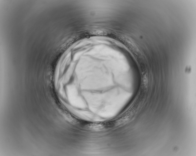 X0000093560322200711121020