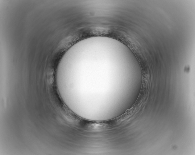 X0000093560323200711121020