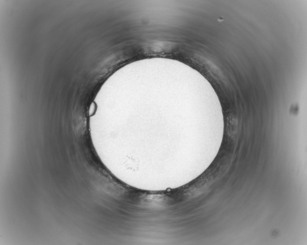 X0000093560324200711121020