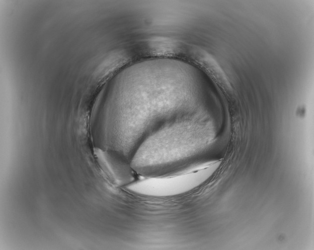 X0000093560325200711121020