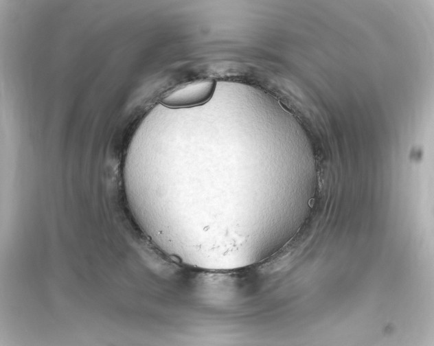 X0000093560327200711121020