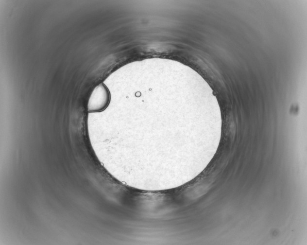 X0000093560328200711121020