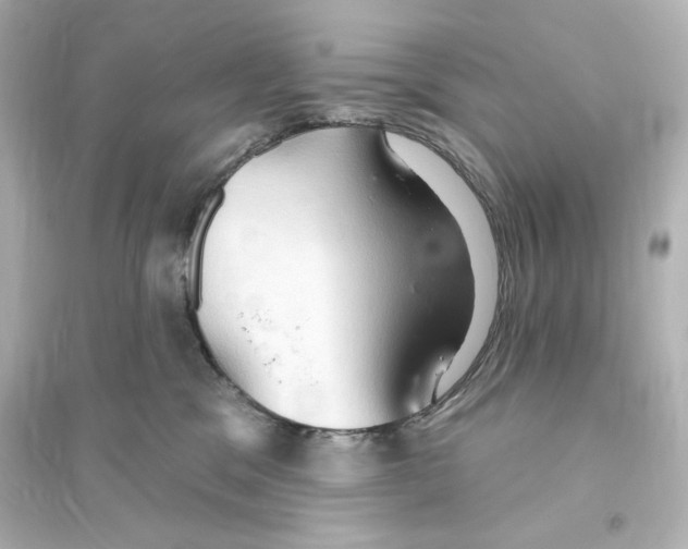 X0000093560329200711121020