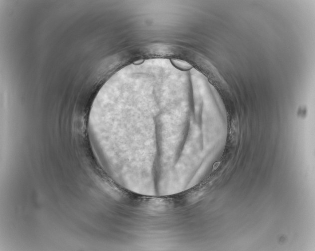 X0000093560330200711121020