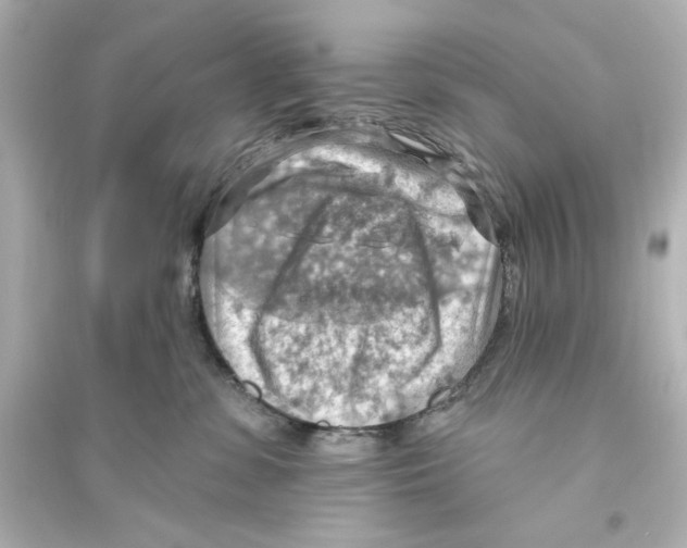 X0000093560331200711121020