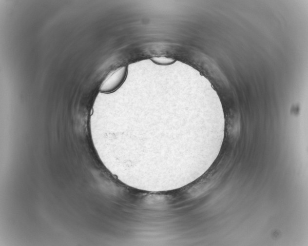 X0000093560332200711121020