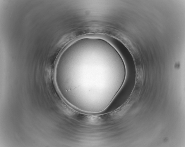 X0000093560333200711121020