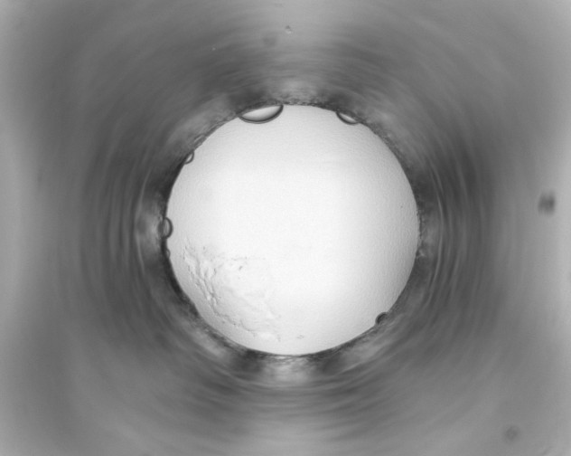X0000093560334200711121020